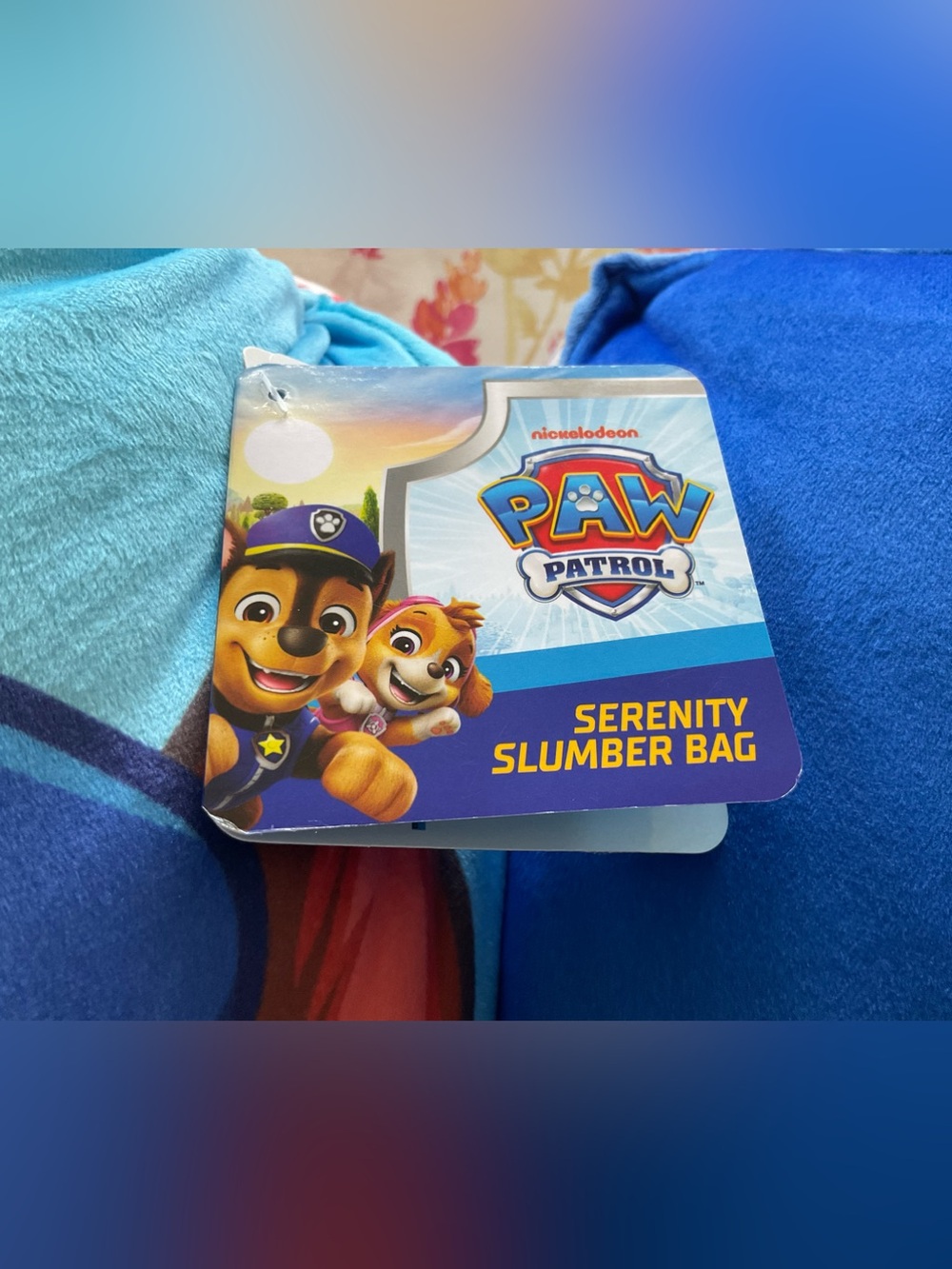Paw Patrol Slumber Bag with Pillow NWT